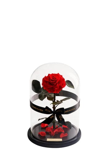 Enchanted Rose - RED