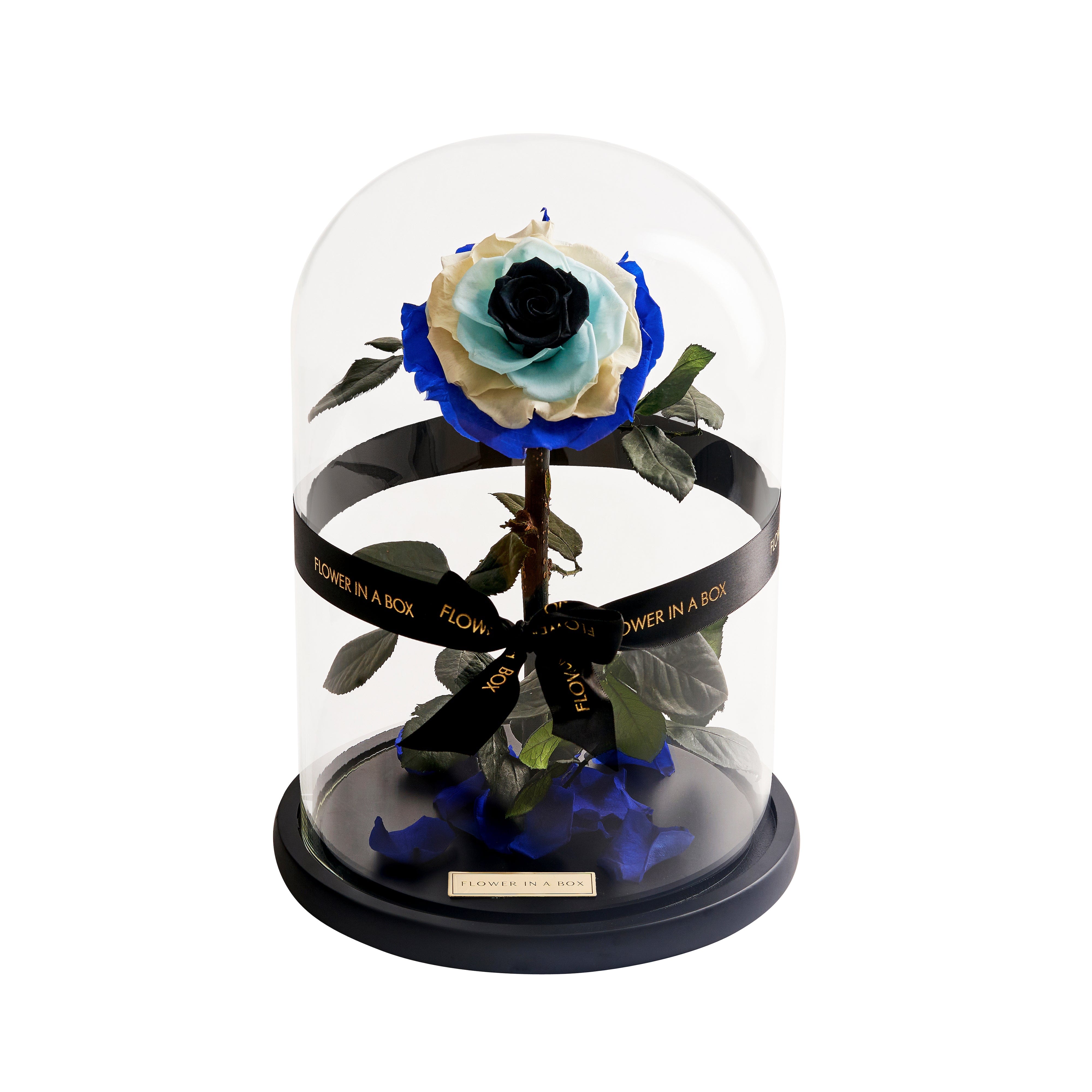 Enchanted Rose EVIL EYE FLOWER IN A BOX