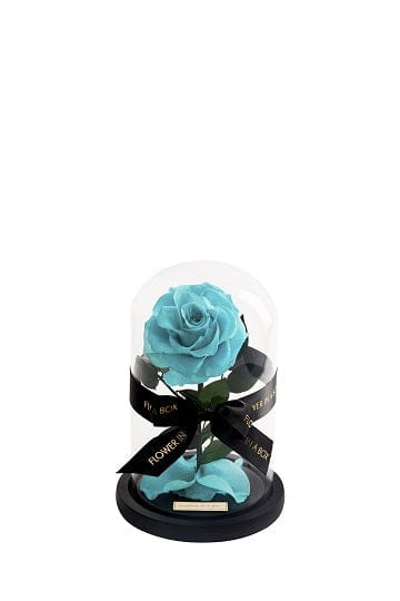 Enchanted Rose Medium - TIFFANY BLUE