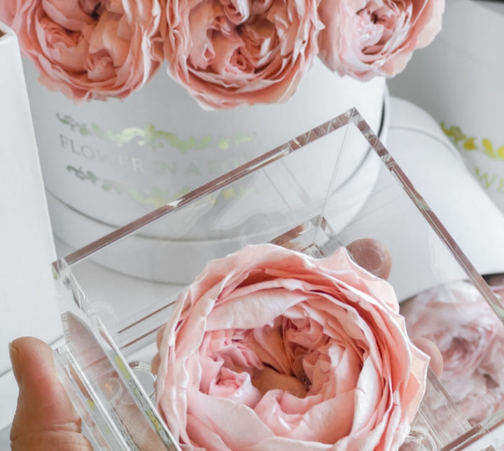 7 ways to brighten your home with everlasting flowers