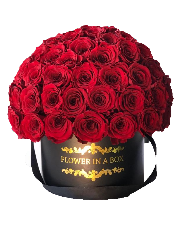 6 Benefits of Preserved Roses