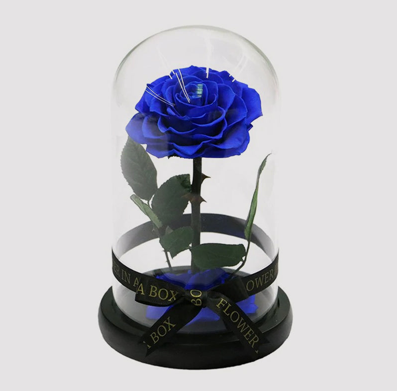 blue rose flowers