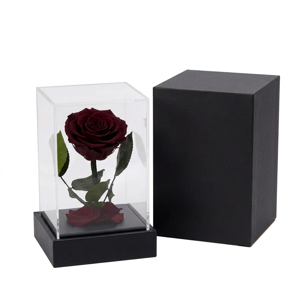 Dark Red Acrylic Cube Everlasting Rose