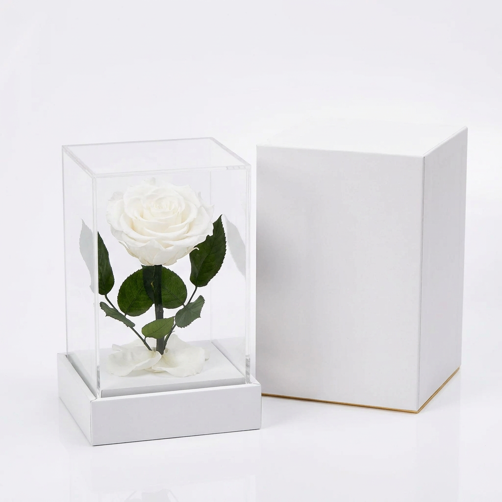 White Acrylic Cube Everlasting Rose