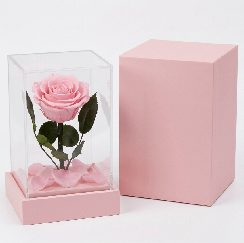 Pink Acrylic Cube Everlasting Rose