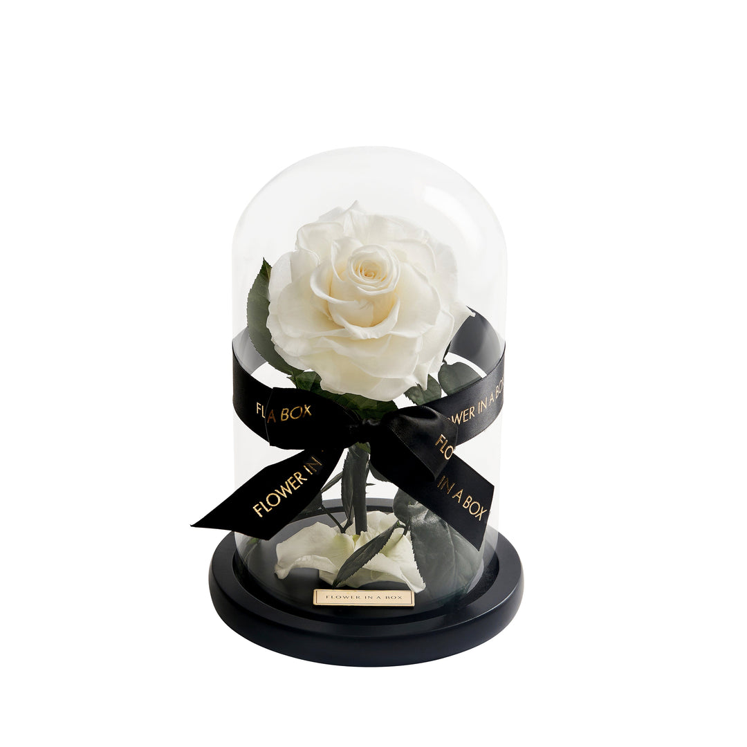 Dome White Roses White Rose In Glass Dome | Preserved Single White Rose – FLOWER IN A BOX