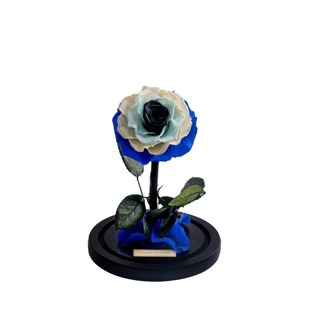 Enchanted Rose Medium - EVIL EYE