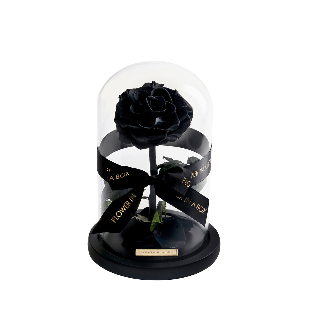 Enchanted Rose Medium - BLACK