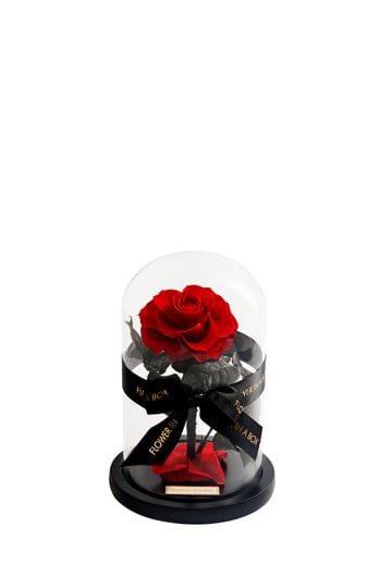 Enchanted Rose Medium - RED