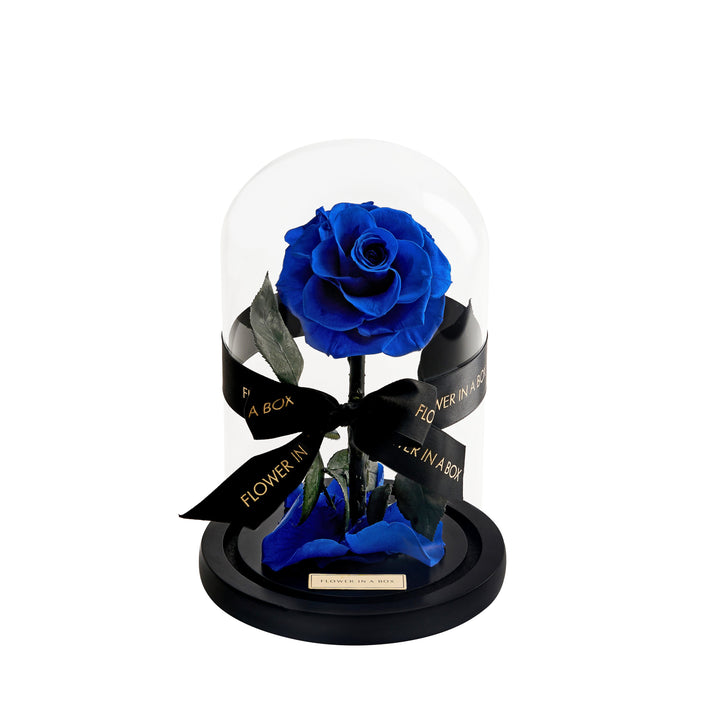 Enchanted Rose Mini - ROYAL BLUE - FLOWER IN A BOX