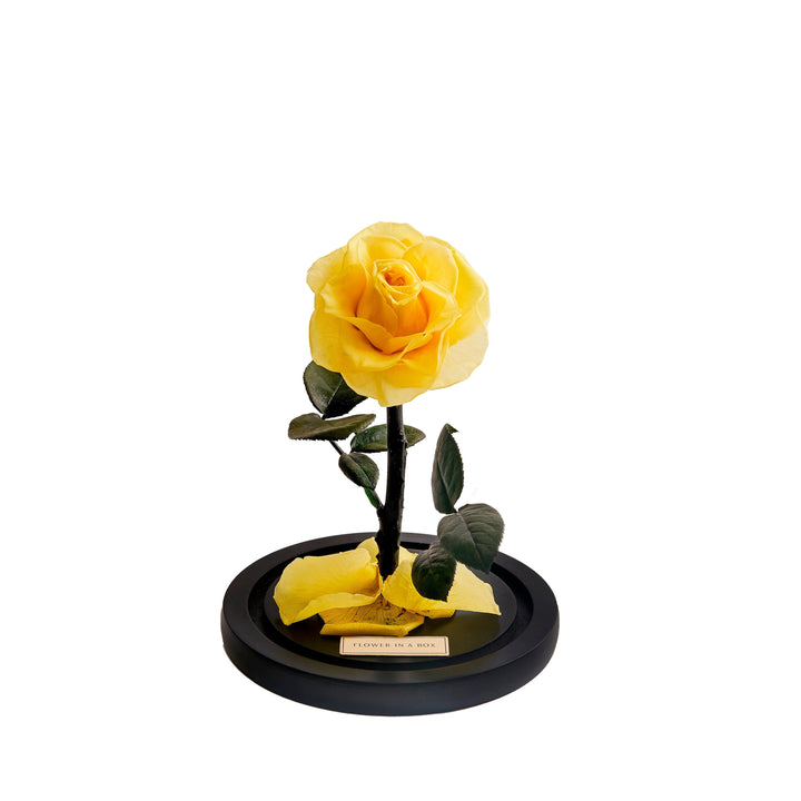 Enchanted Rose Medium - YELLOW