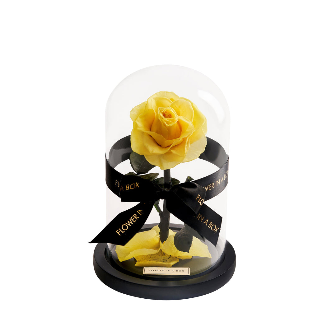 Enchanted Rose Medium - YELLOW