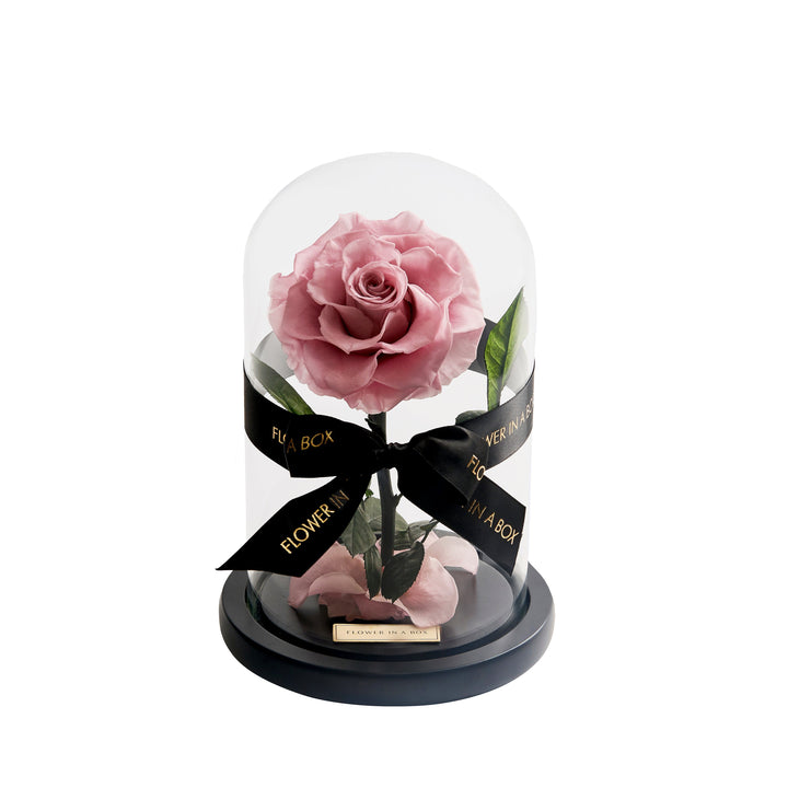 Enchanted Rose Medium - Light Pink