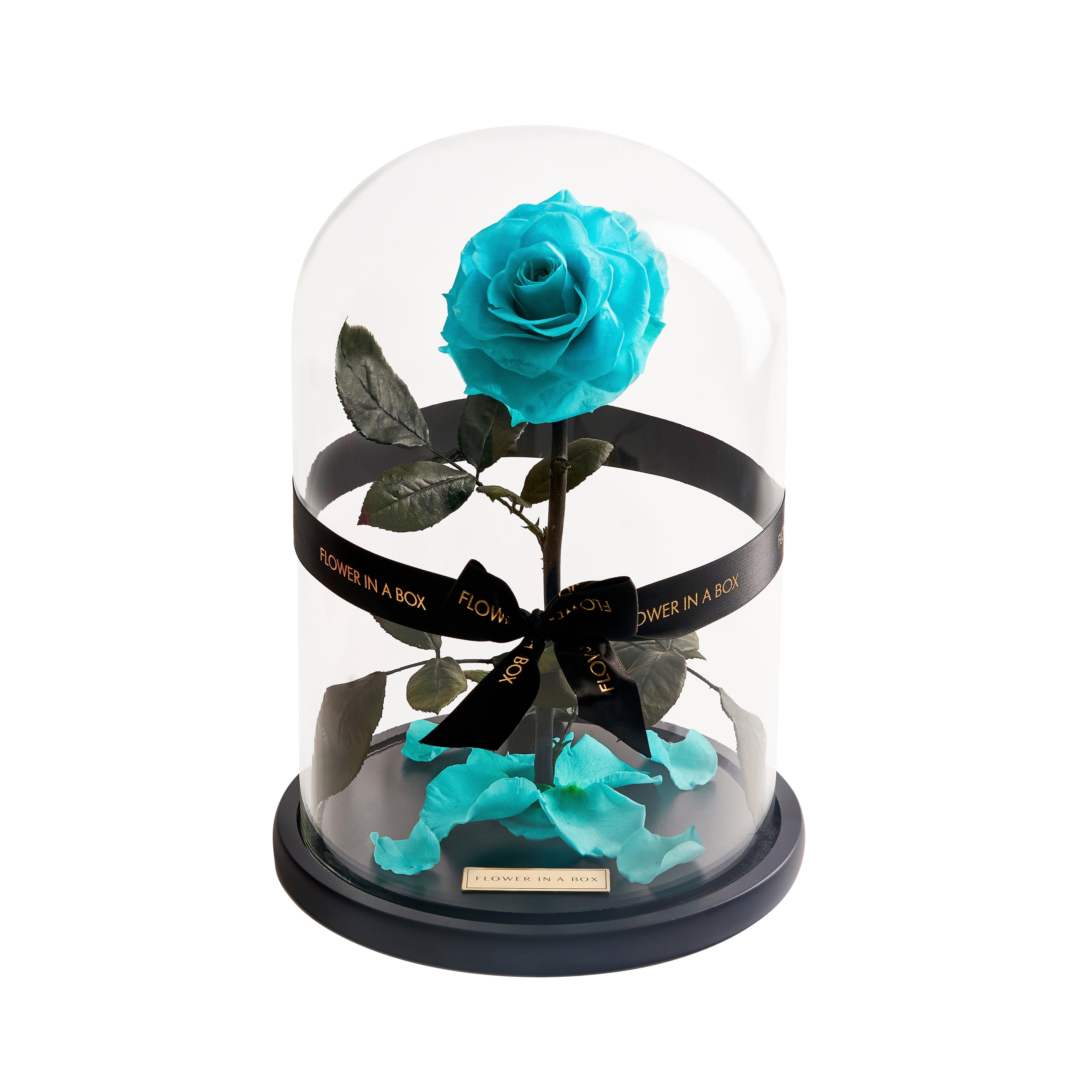 Enchanted Rose - TIFFANY BLUE – FLOWER IN A BOX