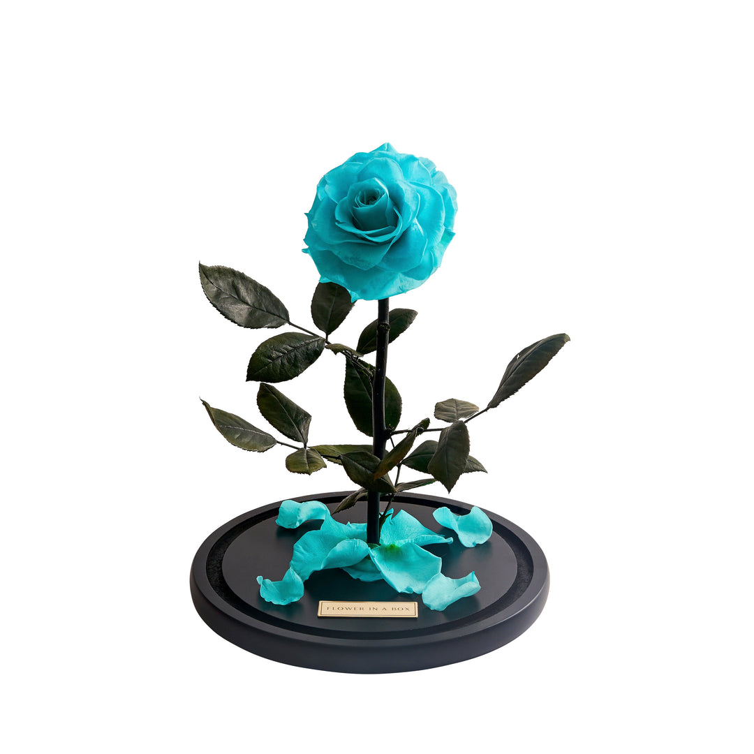 Enchanted Rose - TIFFANY BLUE – FLOWER IN A BOX