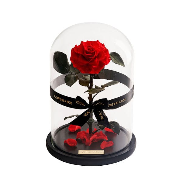 Enchanted Rose - FLOWER IN A BOX