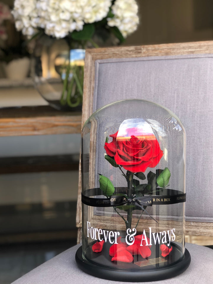 Enchanted Rose - RED - flower in a box