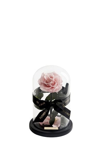 Enchanted Rose Medium - LIGHT PINK