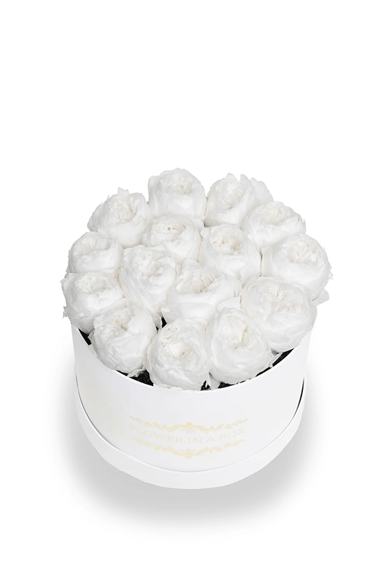 Everlasting Peonies - Round Box