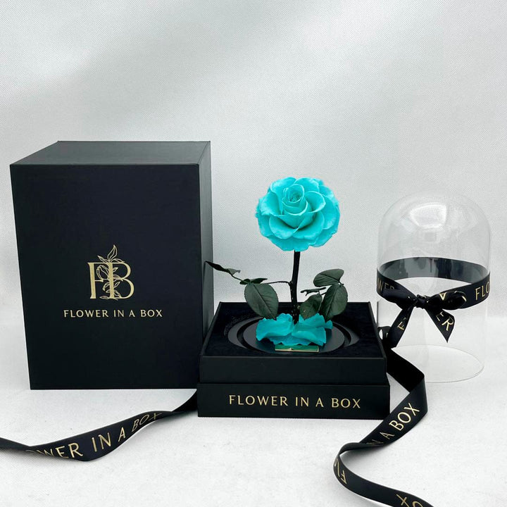 Enchanted Rose Medium - TIFFANY BLUE