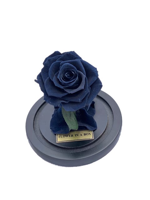 Enchanted Rose Tiny- BLACK - flower in a box