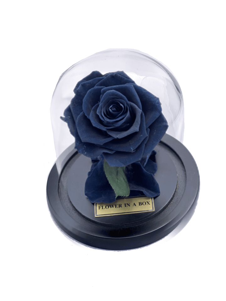 Enchanted Rose Tiny- BLACK - flower in a box
