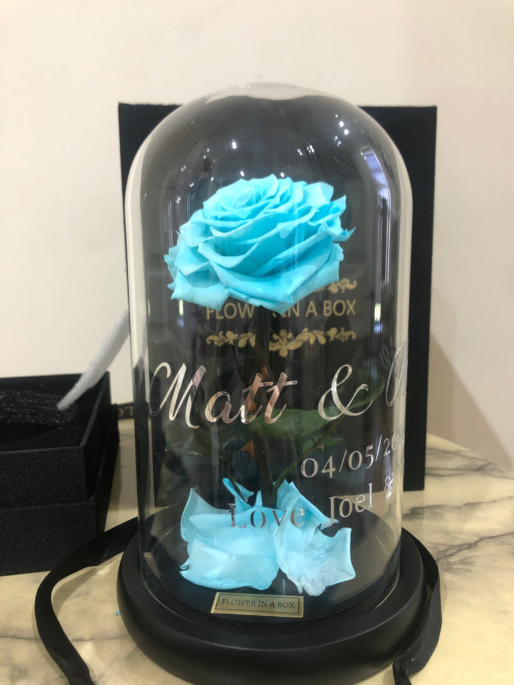 Enchanted Rose Medium - TIFFANY BLUE