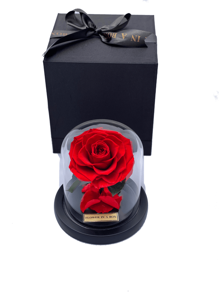 Enchanted Rose Tiny - RED - flower in a box