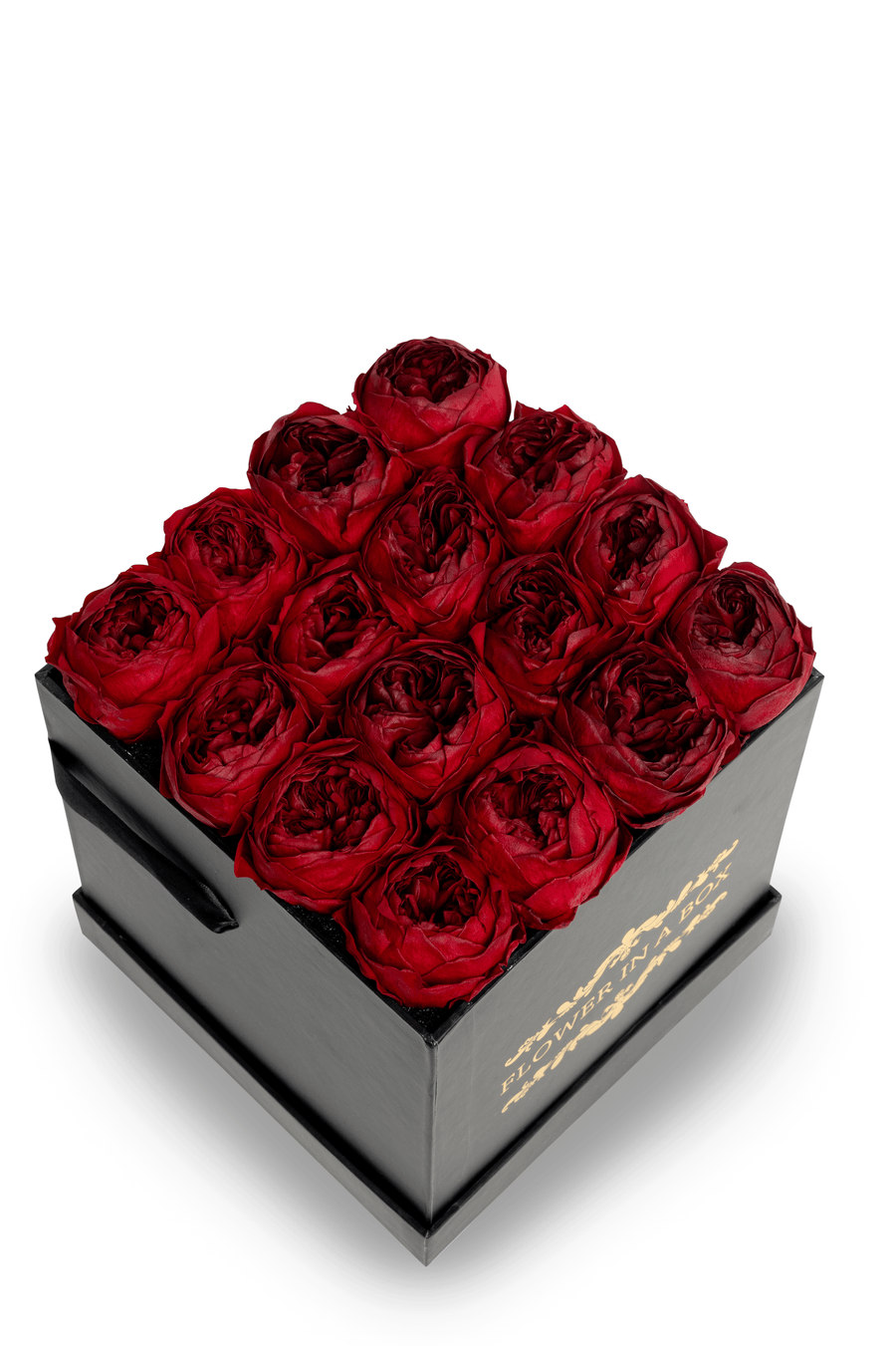 Shop Australia's Favourite Everlasting Roses Flower In A Box FLOWER