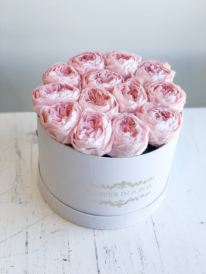 Everlasting Peonies - Round Box