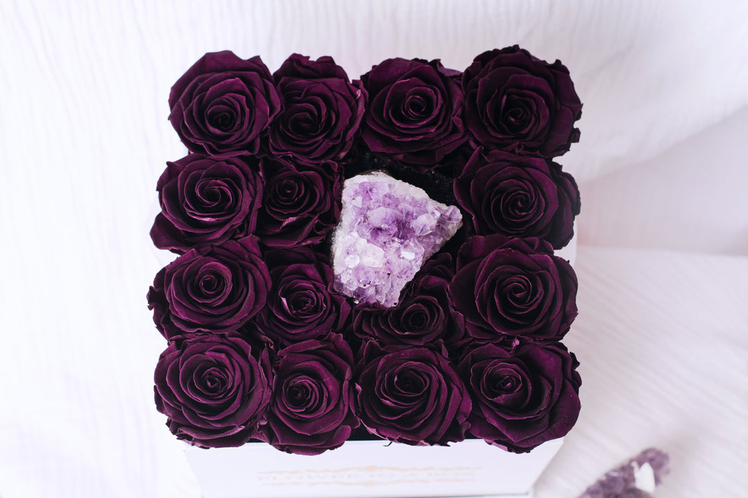 Amethyst- Crystal Collection
