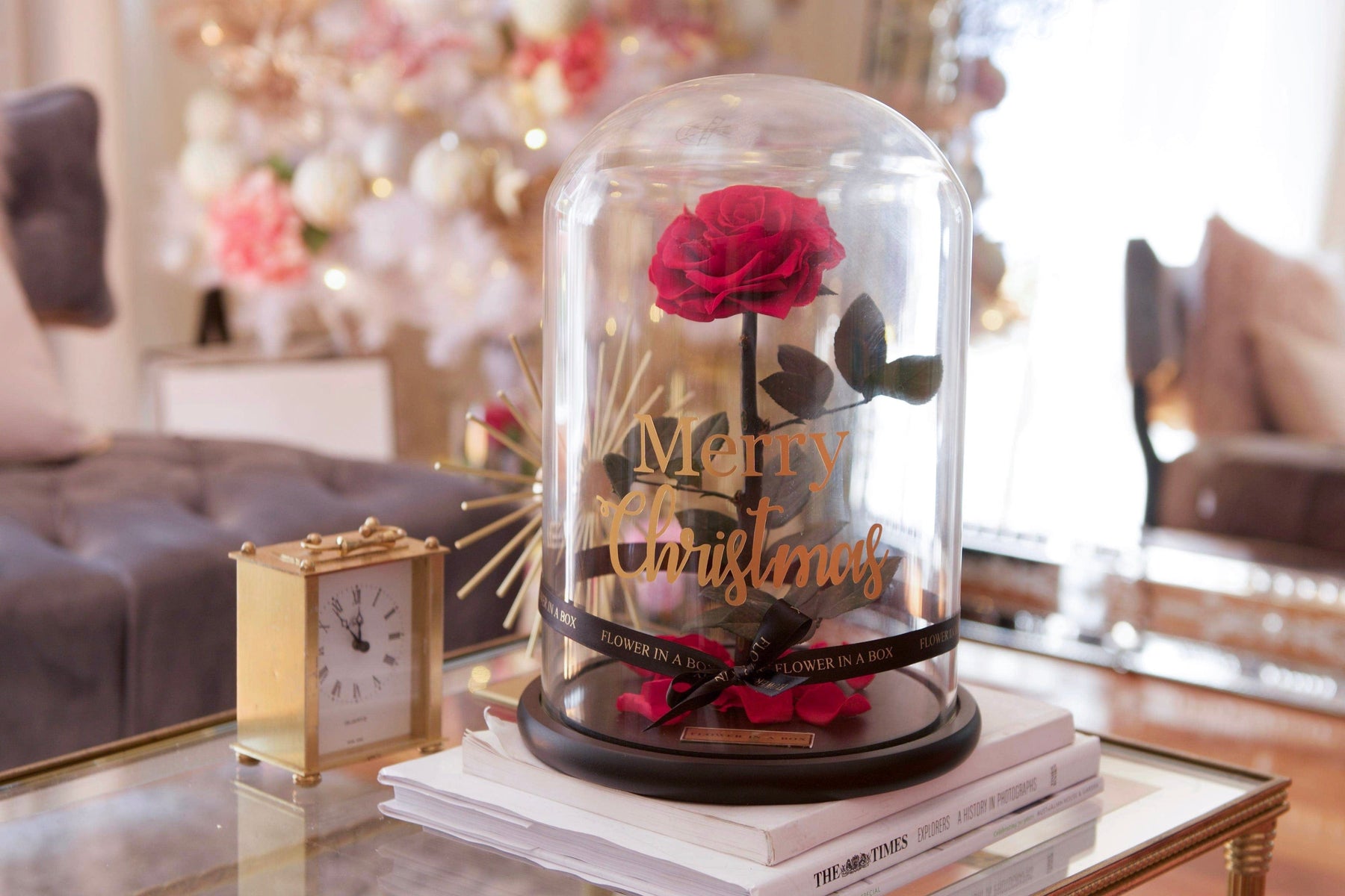 Enchanted Rose - Red | Everlasting Dried Rose – FLOWER IN A BOX