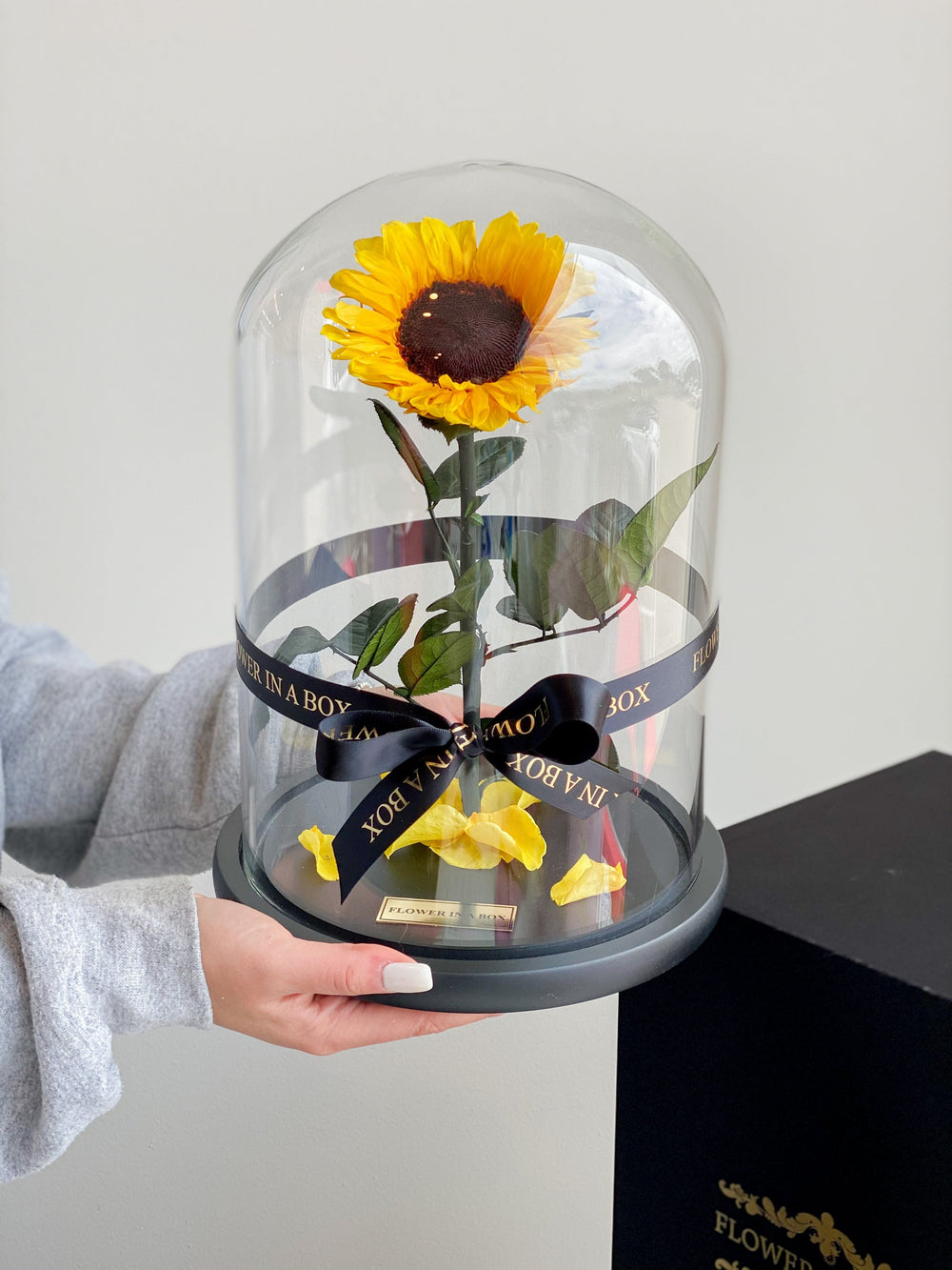 Enchanted Sunflower - FLOWER IN A BOX