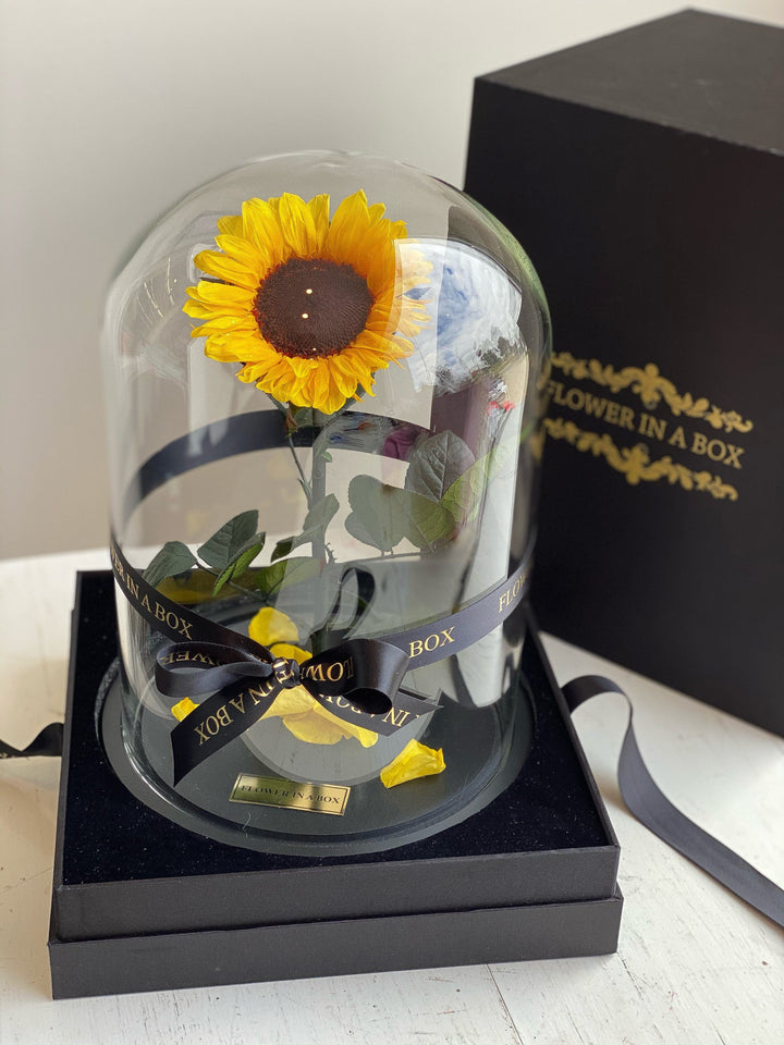 Enchanted Sunflower - FLOWER IN A BOX