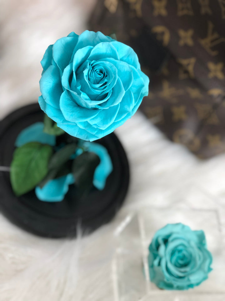 Enchanted Rose Medium - TIFFANY BLUE