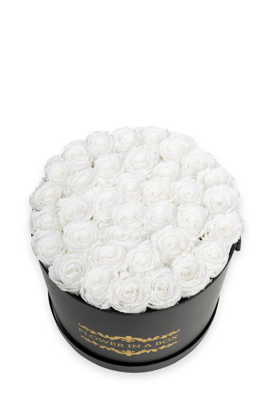 Shop Australia's Favourite Everlasting Roses Flower In A Box FLOWER